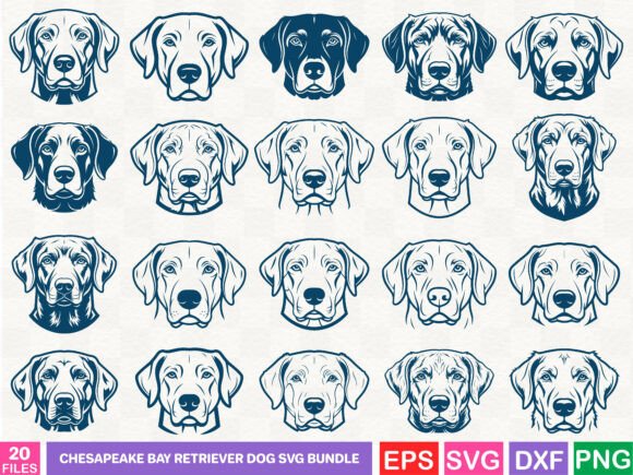 Chesapeake Bay Retriever Dog SVG Bundle