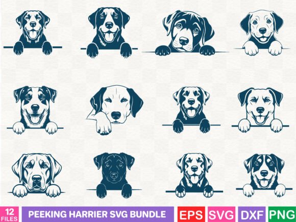 Peeking Harrier SVG Bundle