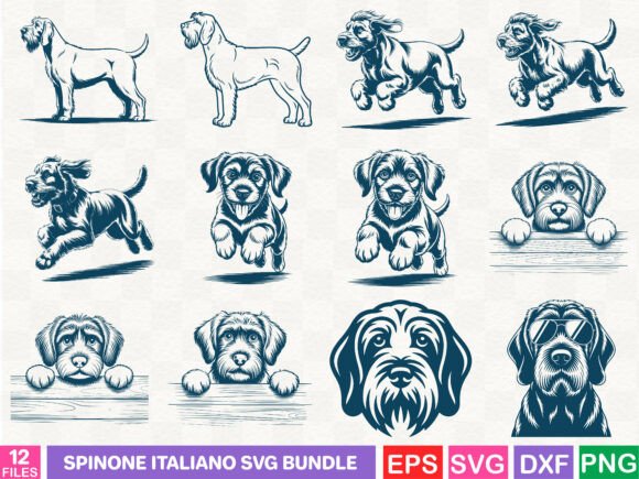 Spinone Italiano SVG Bundle Review